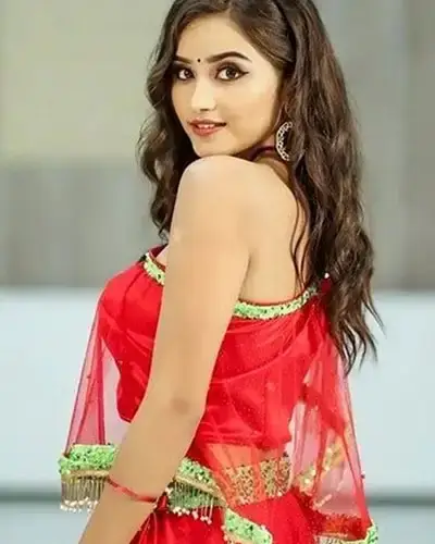 Call Girls Service Sindgi